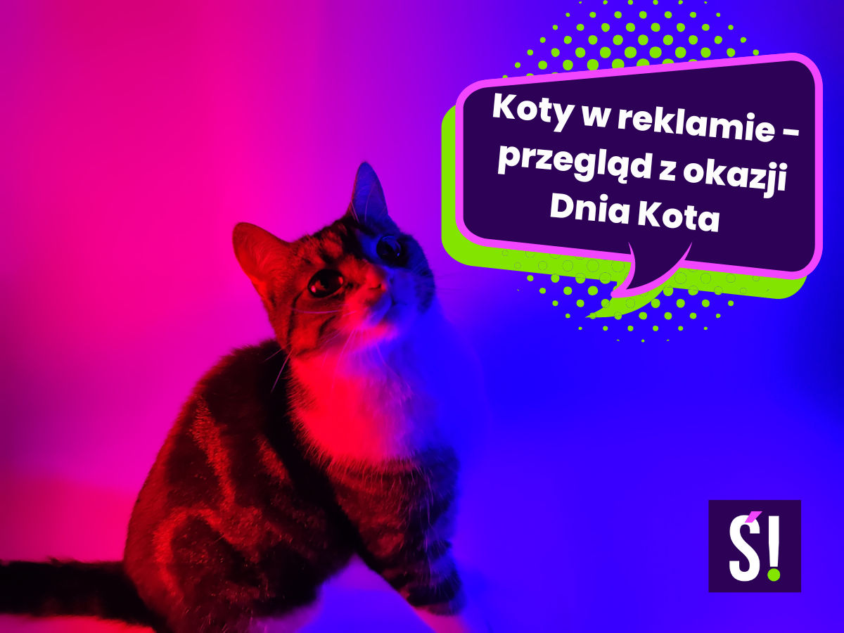 Na zdjęciu widać kota, który symbolizuje temat wpisu: reklamy z kotami czyli przegląd reklam z okazji Dnia Kota